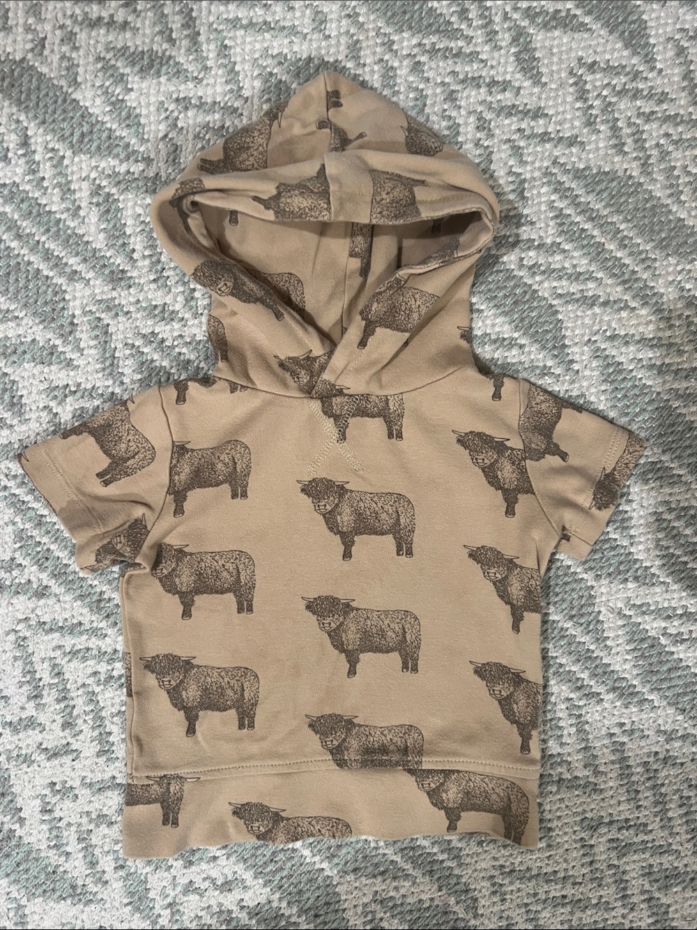GUC kate quinn Short-Sleeve Hoodie with Highland Cow Print 12-18 mos
